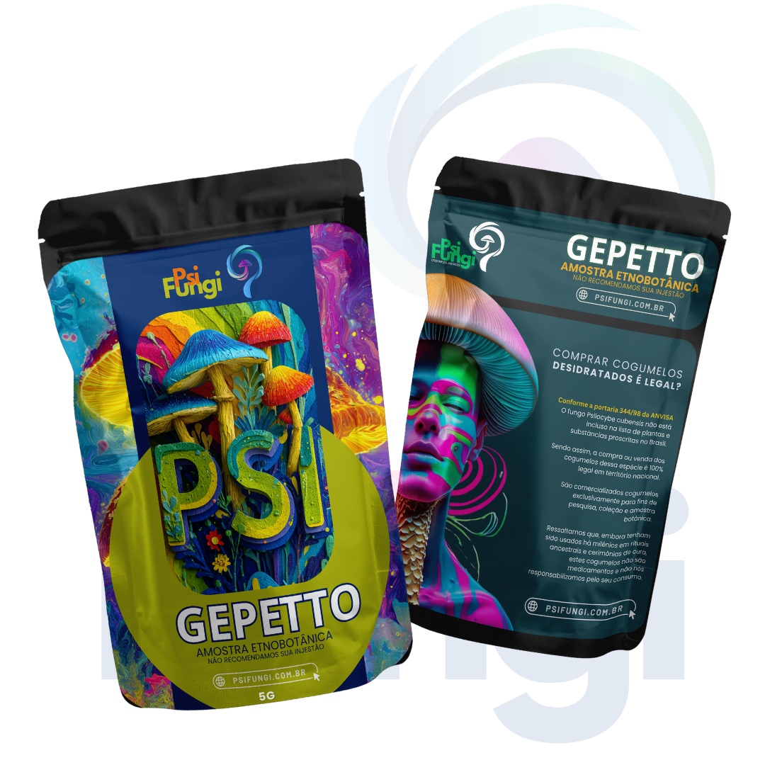 GEPETTO